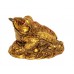 Three Legged Frog (Golden) Feng Shui