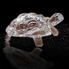 Glass Tortoise-2