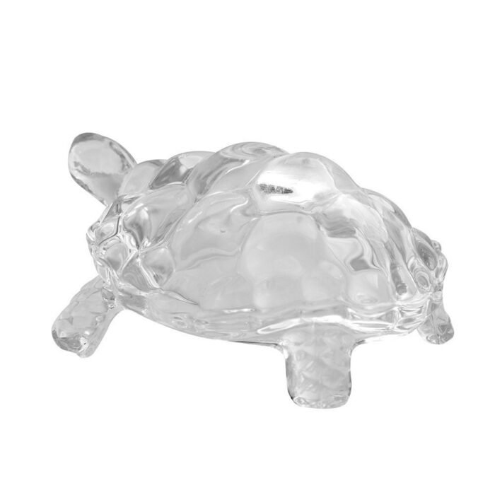 Glass Tortoise-5
