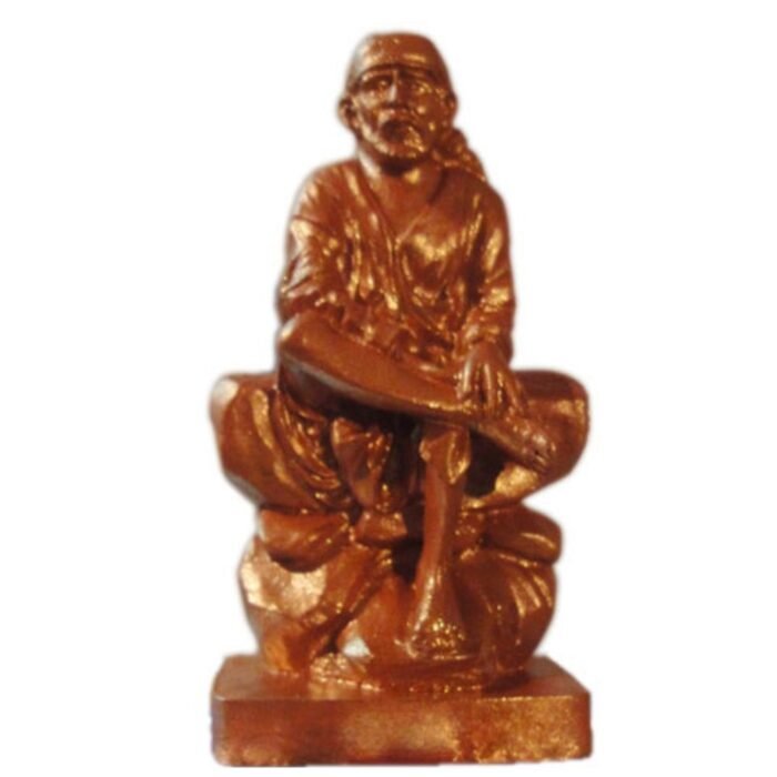Navdhanya Sai idol