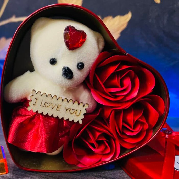 Version 1.0.0 Version 1.0.0