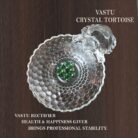Crystal Tortoise With Plate Biger 3