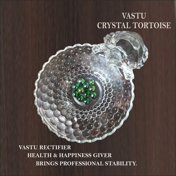 Crystal Tortoise With Plate Biger 3