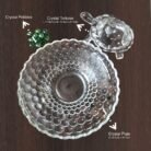 Crystal Tortoise With Plate Biger 4