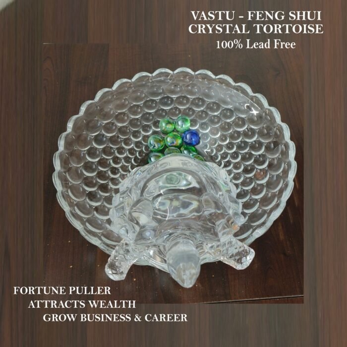 Crystal Tortoise With Plate Biger 6