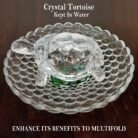 Crystal Tortoise With Plate Biger 7