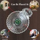 Crystal Tortoise With Plate Biger 8