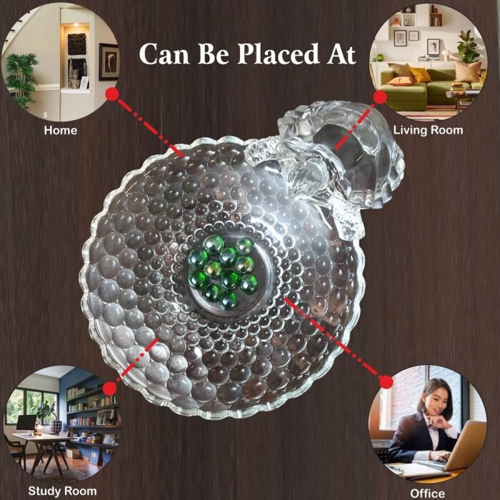 Crystal Tortoise With Plate Biger 8